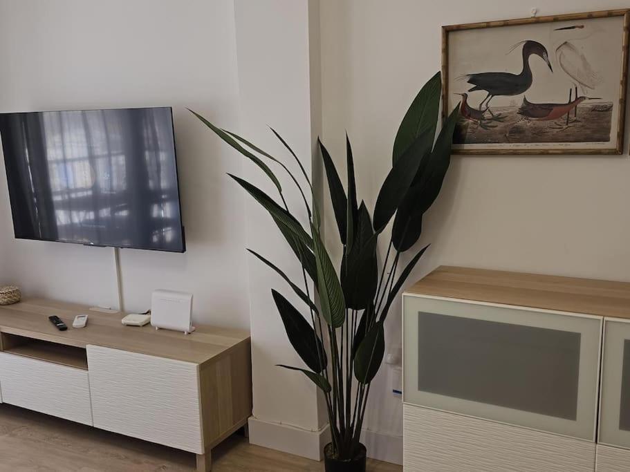 Spacious Front Line 3 Bedroom With Amazing Sea Views A Few Steps From The By Namaste Elite Apartment